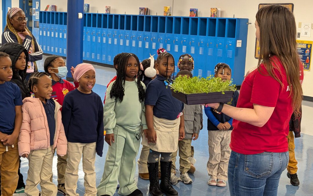 Childhood Nutrition Education: Investing Early Can Pay Healthy Dividends for a Lifetime  